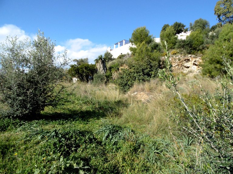 Plot for Sale in Valtocado, Malaga 2