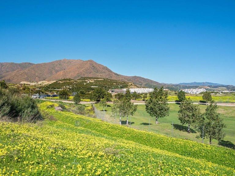 Villa for Sale in Estepona, Malaga 12