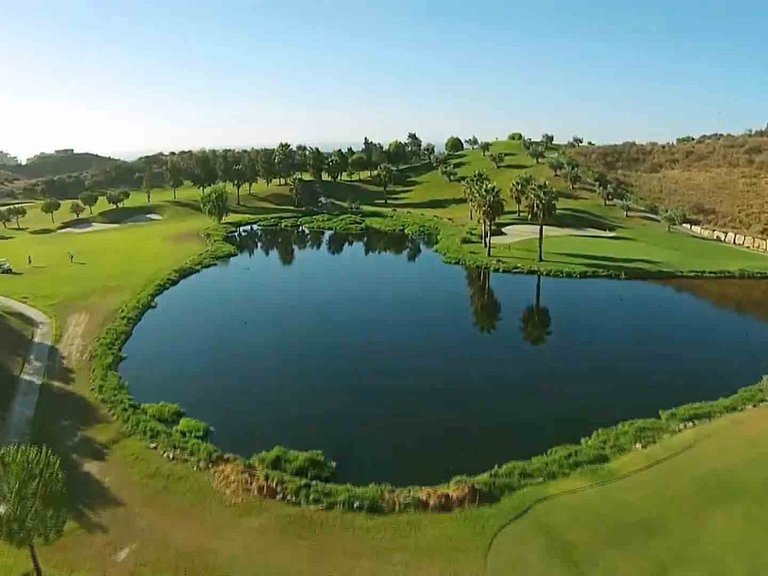 Villa for Sale in New Golden Mile, Malaga 5