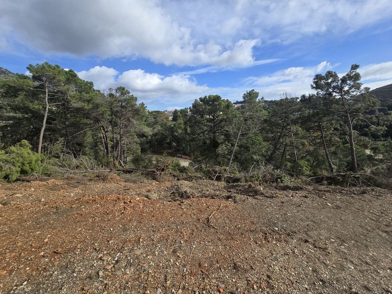Plot for Sale in Costa del Sol, Benahavís, Malaga 11