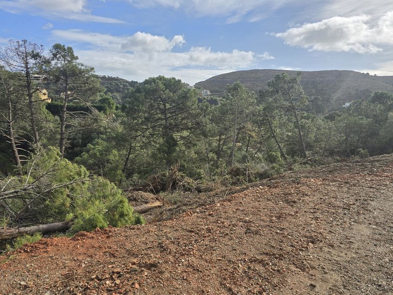 Plot for Sale in Costa del Sol, Benahavís, Malaga 14