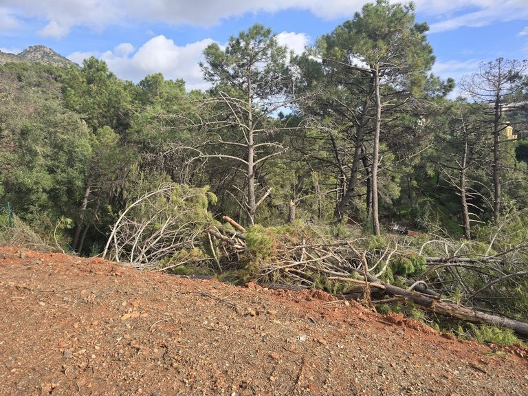 Plot for Sale in Costa del Sol, Benahavís, Malaga 15