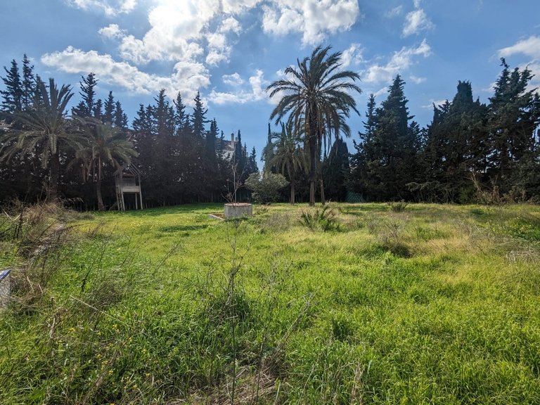 Plot for Sale in Marbella, Malaga 1