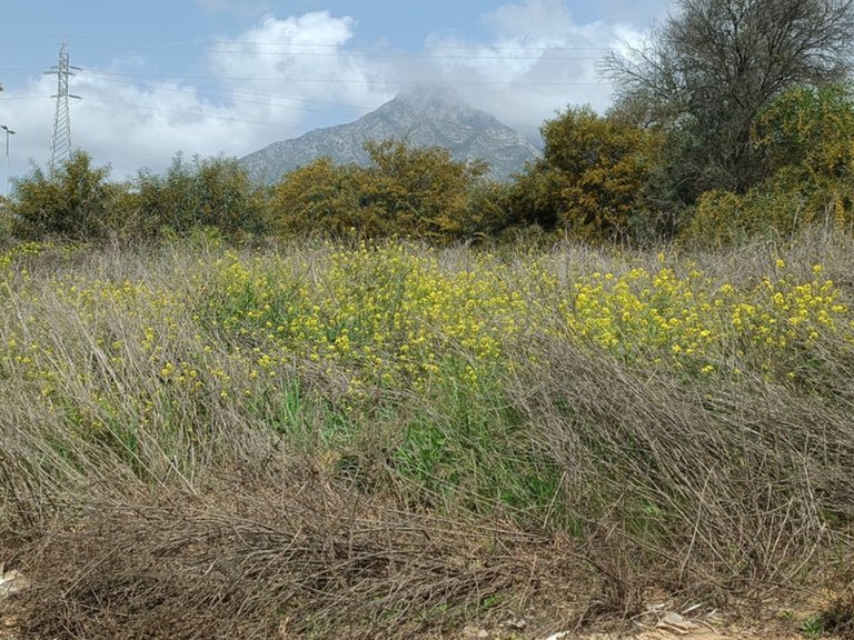 Plot for Sale in The Golden Mile, Malaga 3