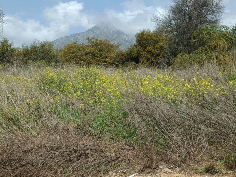 Plot for Sale in The Golden Mile, Malaga 5