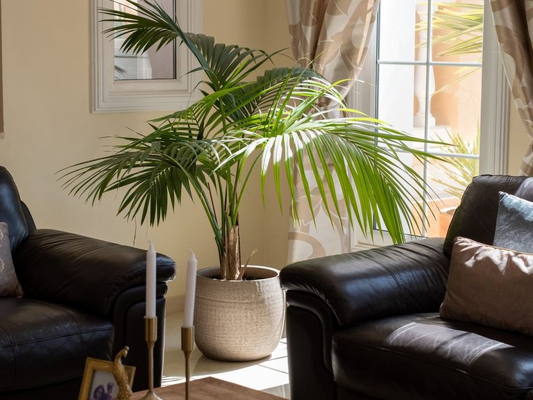 Villa for Sale in Mijas Costa, Malaga 48