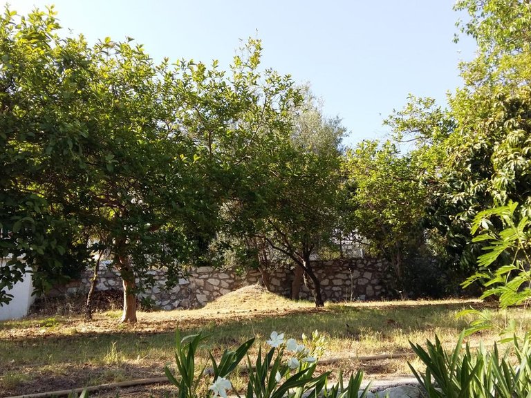 Villa for Sale in Mijas, Malaga 7