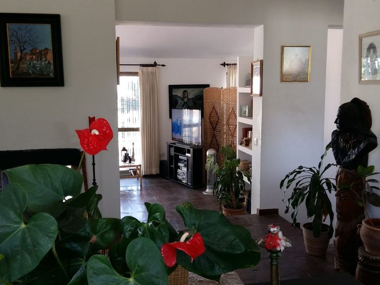 Villa for Sale in Mijas, Malaga 8