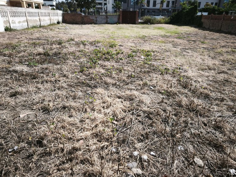 Plot for Sale in Los Alamos, Malaga 4