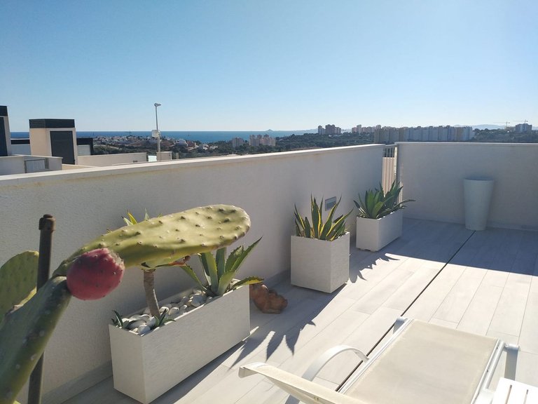 Villa for Sale in Costa Blanca Orihuela Costa, Alicante 15