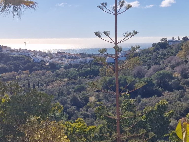 Apartment for Sale in Costa del Sol Reserva De Marbella, Malaga 21