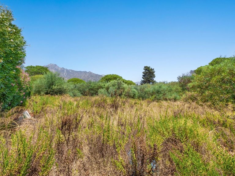 Plot for Sale in Marbella, Malaga 4