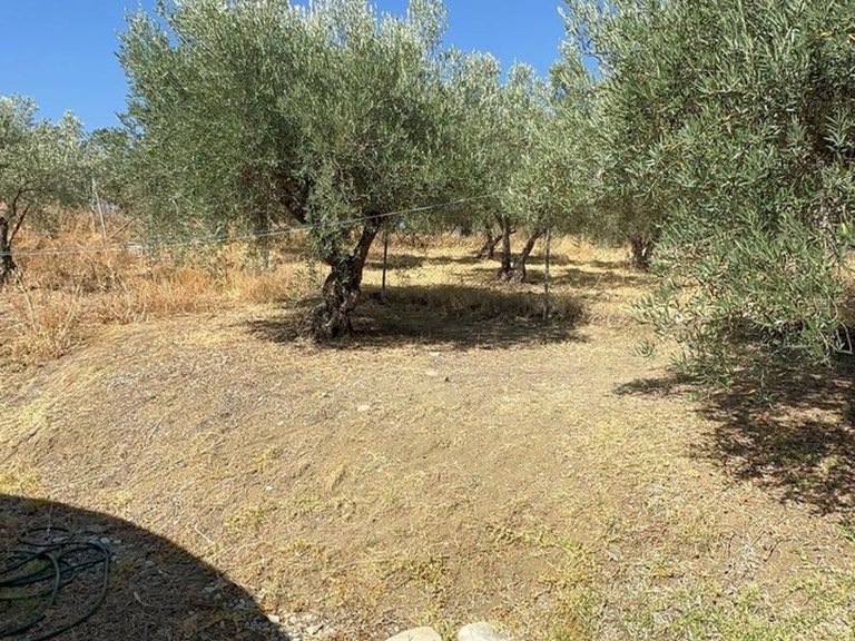 Country House for Sale in Monda, Malaga 10