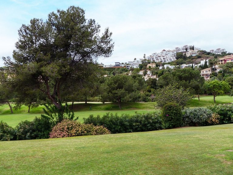 Apartment for Sale in Costa del Sol, Los Arqueros, Malaga 5