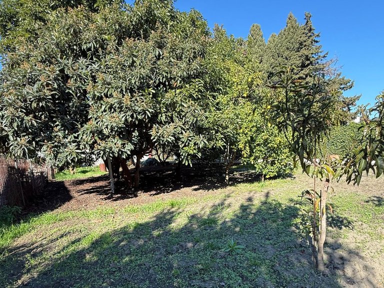 Plot for Sale in San Pedro De Alcántara, Malaga 10