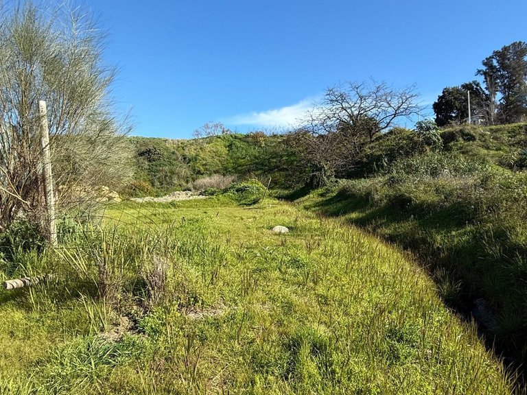 Plot for Sale in San Pedro De Alcántara, Malaga 19