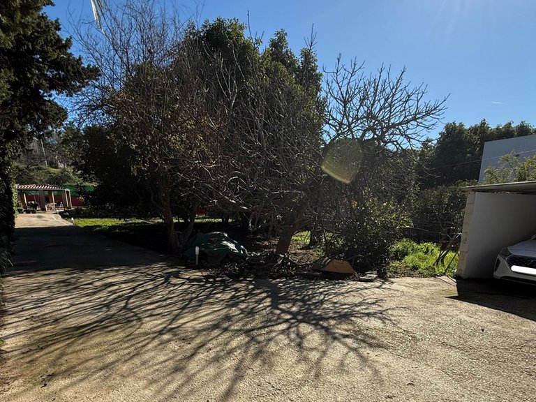 Plot for Sale in San Pedro De Alcántara, Malaga 20