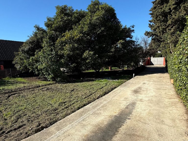 Plot for Sale in San Pedro De Alcántara, Malaga 26