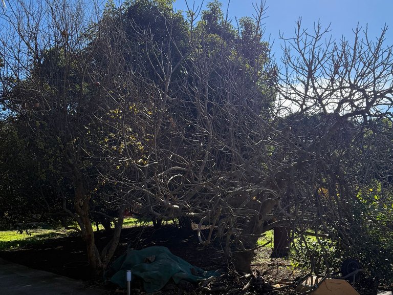 Plot for Sale in San Pedro De Alcántara, Malaga 28