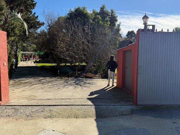 Plot for Sale in San Pedro De Alcántara, Malaga 30