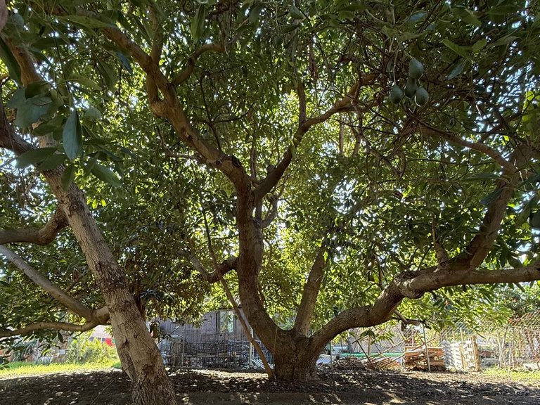 Plot for Sale in San Pedro De Alcántara, Malaga 32