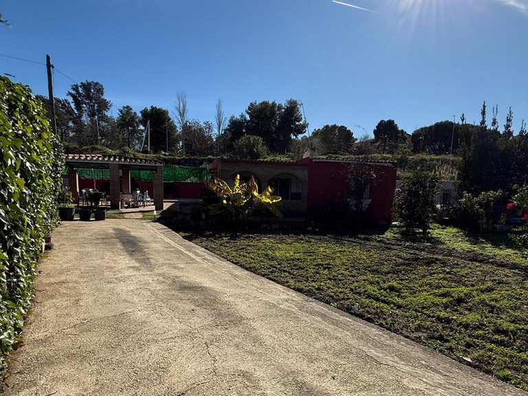 Plot for Sale in San Pedro De Alcántara, Malaga 9