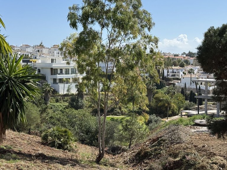 Plot for Sale in Selwo, Malaga 10