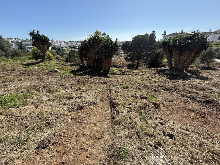 Plot for Sale in Selwo, Malaga 12
