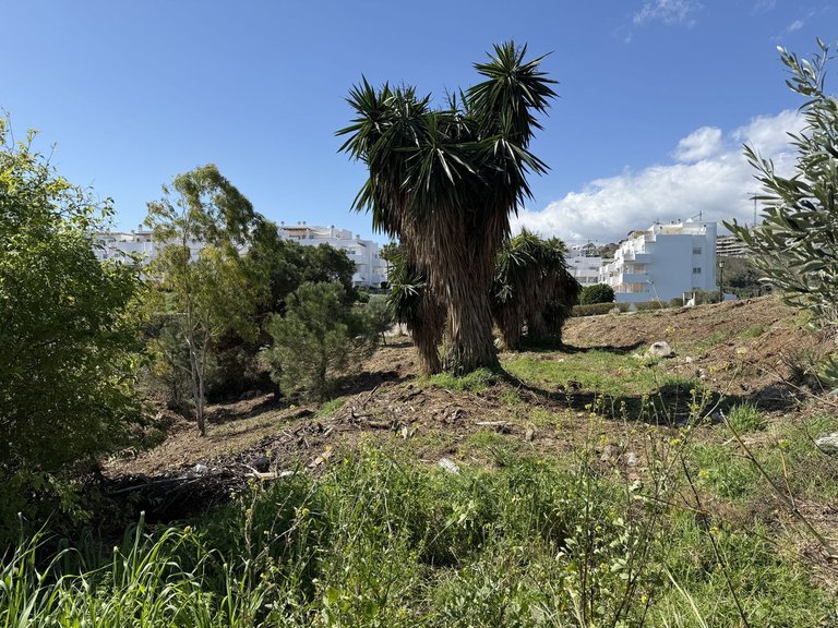 Plot for Sale in Selwo, Malaga 13