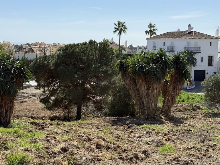 Plot for Sale in Selwo, Malaga 14