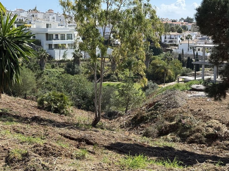 Plot for Sale in Selwo, Malaga 9