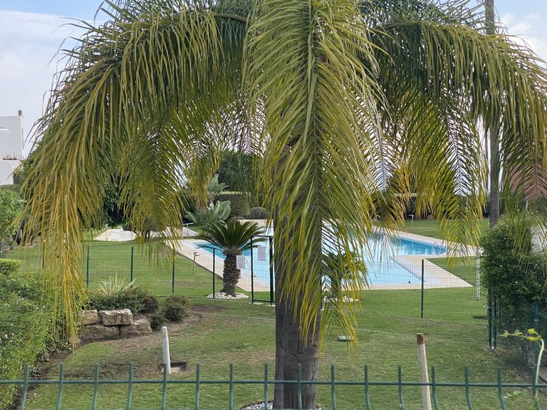 Apartment for Sale in Costa del Sol Benalmadena, Malaga 25