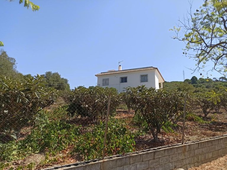 Villa for Sale in Estepona, Malaga 1