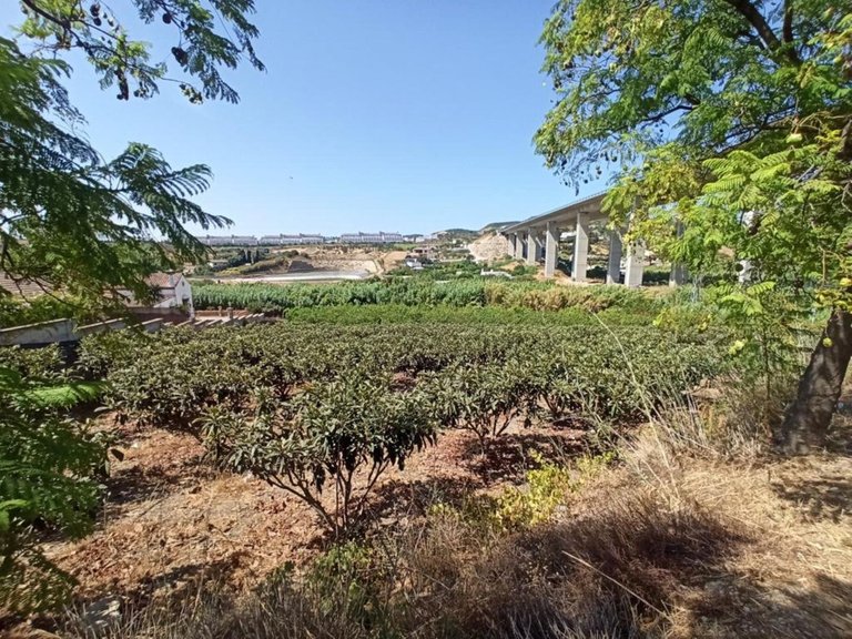 Villa for Sale in Estepona, Malaga 3