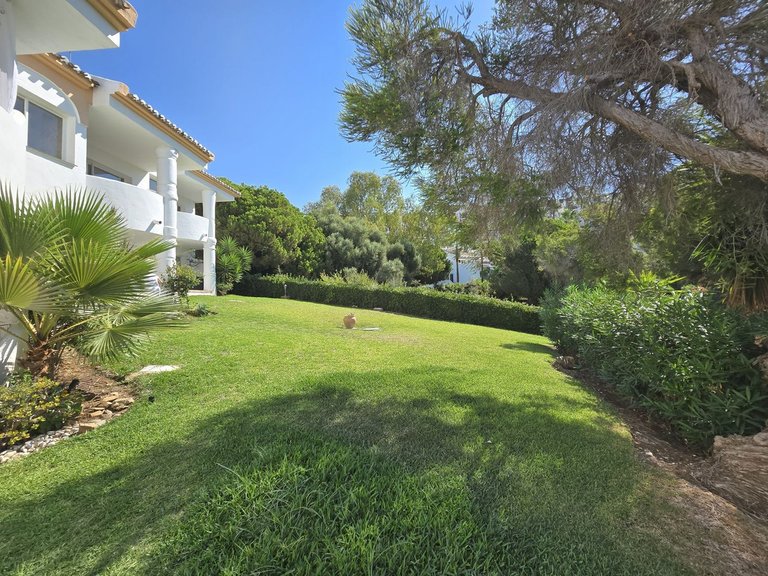 Apartment for Sale in Calahonda, Malaga 26