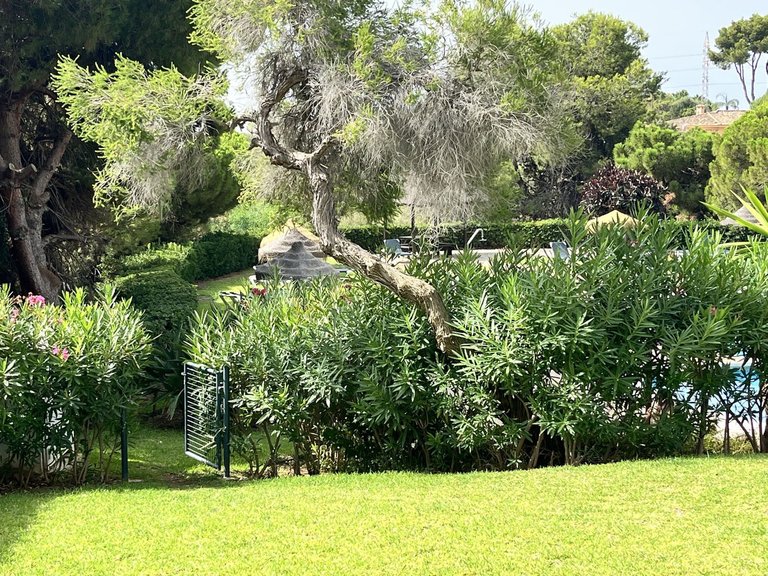 Apartment for Sale in Calahonda, Malaga 9