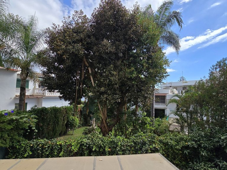 Apartment for Sale in Nueva Andalucía, Malaga 22