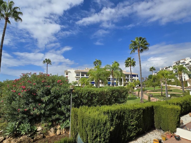 Apartment for Sale in Nueva Andalucía, Malaga 5