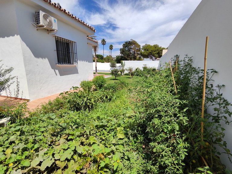 Villa for Sale in Estepona, Malaga 39