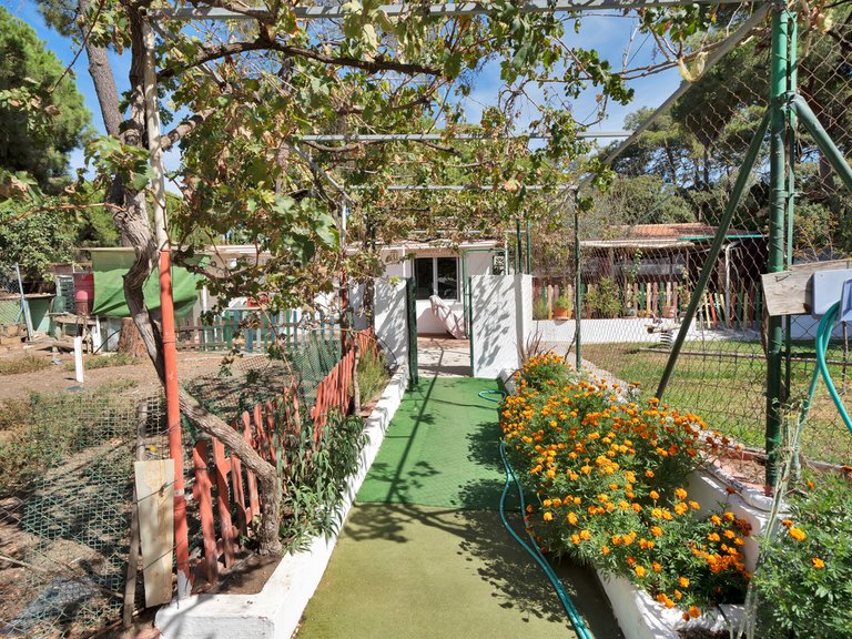 Plot for Sale in Marbella, Malaga 8