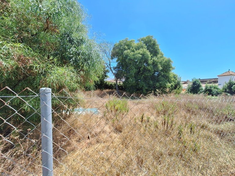 Plot for Sale in Atalaya, Malaga 12