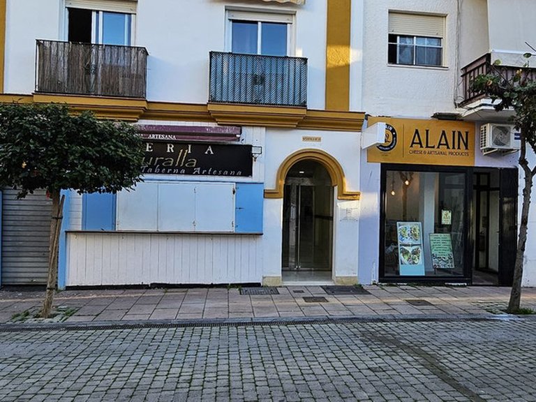 Commercial for Sale in Estepona, Malaga 4