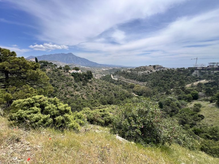 Plot for Sale in El Madroñal, Malaga 4