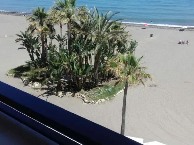 Apartment for Sale in Estepona, Malaga 13
