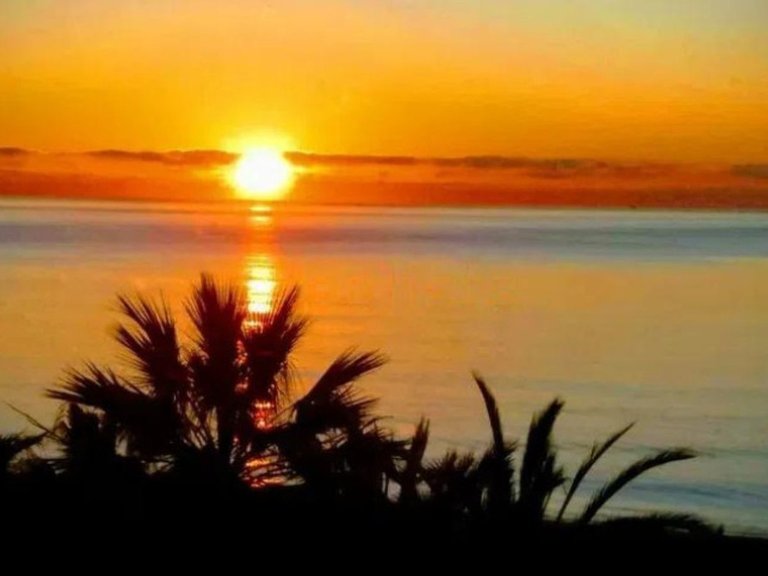 Apartment for Sale in Estepona, Malaga 2