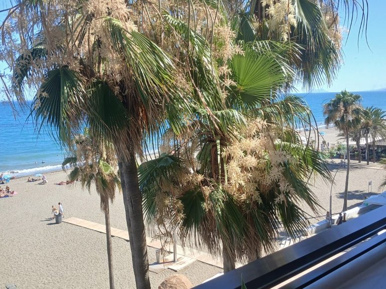 Apartment for Sale in Estepona, Malaga 34