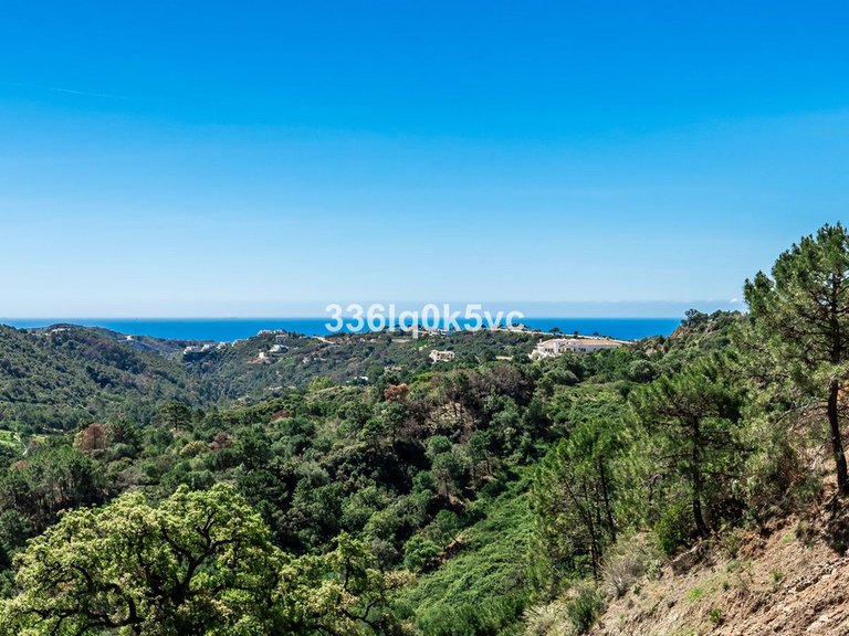 Plot for Sale in Benahavís, Malaga 4