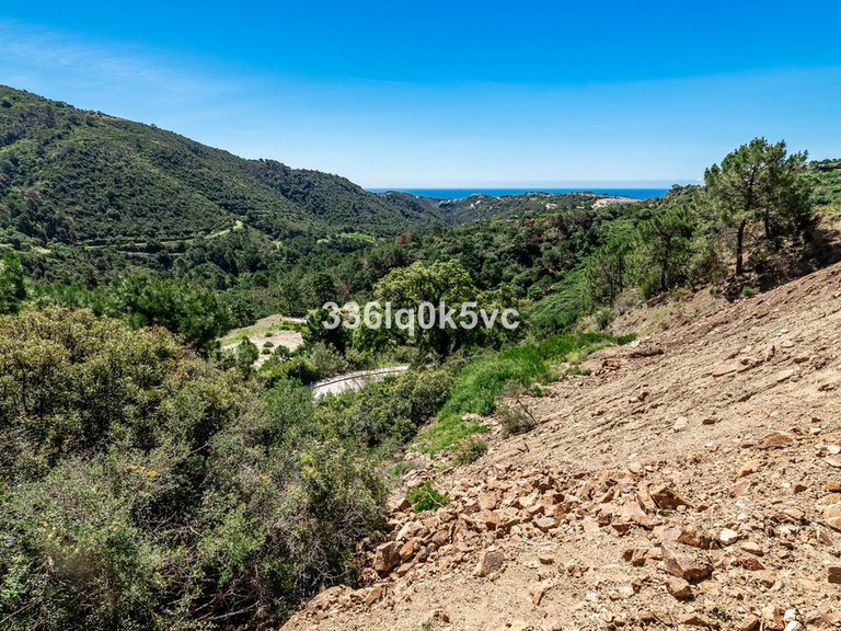 Plot for Sale in Benahavís, Malaga 7