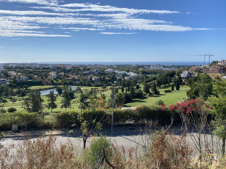 Plot for Sale in Benahavís, Malaga 4