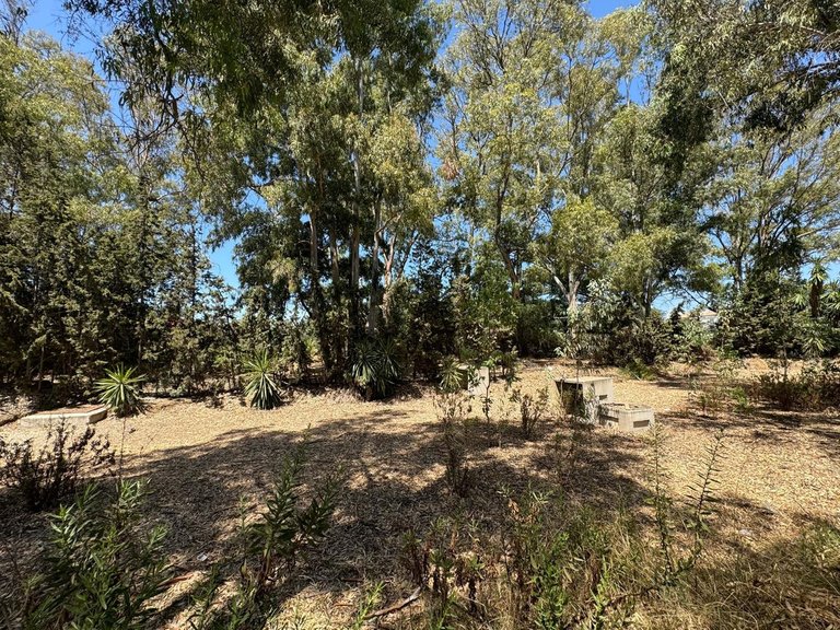 Plot for Sale in El Paraiso, Malaga 5